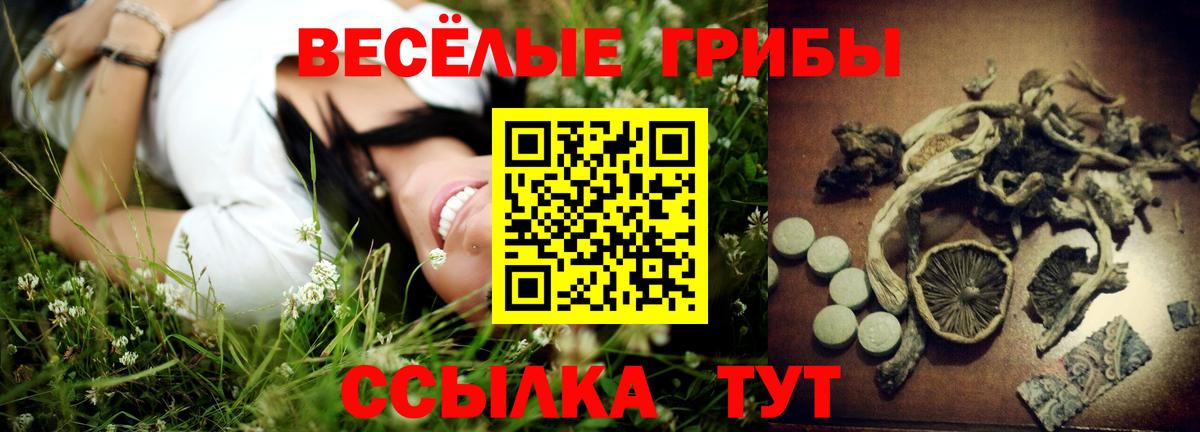 Псилоцибиновые грибы MAGIC MUSHROOMS  Псилоцибиновые грибы GOLDEN TEACHER  Сорочинск  Вход с VPN 